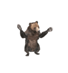Grizzly Bear for Chat II（個別スタンプ：22）