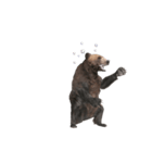 Grizzly Bear for Chat II（個別スタンプ：23）