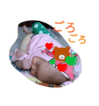 こっとん100％②（個別スタンプ：12）