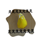 インコのリリーたん（個別スタンプ：15）