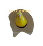 インコのリリーたん（個別スタンプ：32）