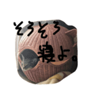 猫の独り言（個別スタンプ：6）
