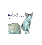 The Cat and kitten (TH)（個別スタンプ：8）