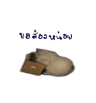 The Cat and kitten (TH)（個別スタンプ：11）