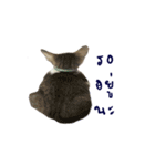 The Cat and kitten (TH)（個別スタンプ：33）