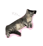 るい氏（個別スタンプ：1）
