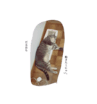 るい氏（個別スタンプ：4）