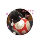 ちゃたぎんスタンプ（個別スタンプ：7）