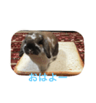 ちゃたぎんスタンプ（個別スタンプ：8）