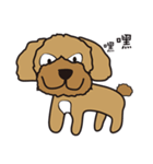 WIllamazing dag（個別スタンプ：5）