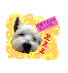 モジャっけさん達いらっしゃい♪（個別スタンプ：4）