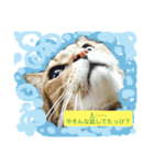 モジャっけさん達いらっしゃい♪（個別スタンプ：6）