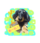 モジャっけさん達いらっしゃい♪（個別スタンプ：7）
