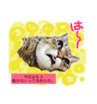 モジャっけさん達いらっしゃい♪（個別スタンプ：8）