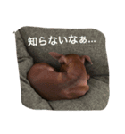 ミニピンホッピーくん（個別スタンプ：17）