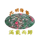 beautiful pictures:wise phrase（個別スタンプ：2）