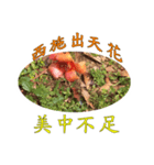 beautiful pictures:wise phrase（個別スタンプ：3）