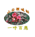 beautiful pictures:wise phrase（個別スタンプ：4）