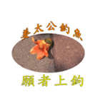 beautiful pictures:wise phrase（個別スタンプ：5）