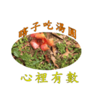 beautiful pictures:wise phrase（個別スタンプ：6）