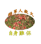 beautiful pictures:wise phrase（個別スタンプ：7）