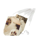 RINRINRINRIN（個別スタンプ：22）