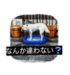 ドッグリフレオッジ 2（個別スタンプ：10）