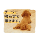 ドッグリフレオッジ 2（個別スタンプ：12）