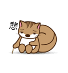 Loose lazy squirrels do exercise（個別スタンプ：20）