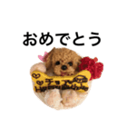 チョアスタンプ（個別スタンプ：7）