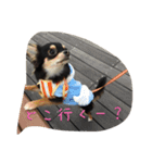〜愛犬チロルとの日常〜（個別スタンプ：21）