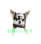 アイルオンスタンプ（個別スタンプ：8）