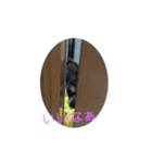 アイルオンスタンプ（個別スタンプ：10）