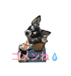 アイルオンスタンプ（個別スタンプ：13）