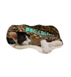 ココナッツ生活（個別スタンプ：3）