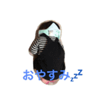 きこの日常（個別スタンプ：7）