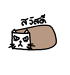 C A T（個別スタンプ：1）