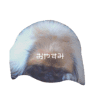 おれおとれもん（個別スタンプ：1）