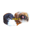 おれおとれもん（個別スタンプ：2）