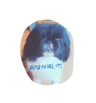 おれおとれもん（個別スタンプ：3）