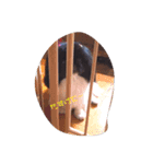 おれおとれもん（個別スタンプ：5）
