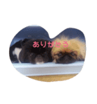おれおとれもん（個別スタンプ：7）