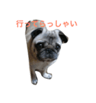 れんげちゃんver.1.0（個別スタンプ：2）