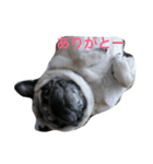 れんげちゃんver.1.0（個別スタンプ：7）