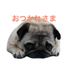 れんげちゃんver.1.0（個別スタンプ：11）