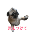 れんげちゃんver.1.0（個別スタンプ：13）