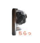 れんげちゃんver.1.0（個別スタンプ：24）