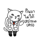 Doctor Meow（個別スタンプ：37）