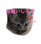 プリムローズのうにちゃん（個別スタンプ：5）