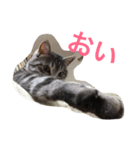 プリムローズのうにちゃん（個別スタンプ：15）